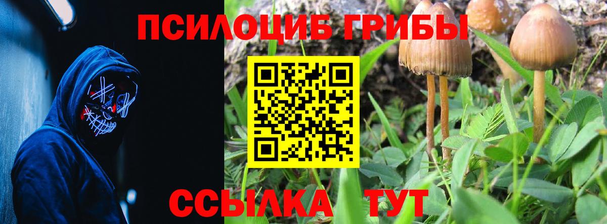 Псилоцибиновые грибы мухоморы  Вход с VPN  Галлюциногенные грибы MAGIC MUSHROOMS  Белореченск 